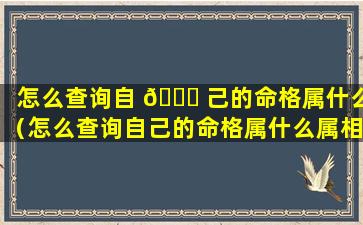 怎么查询自 🐒 己的命格属什么（怎么查询自己的命格属什么属相）